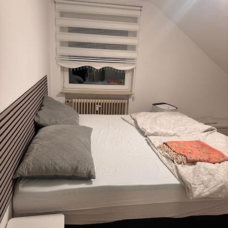 Am Auepark Apartment Касел Екстериор снимка