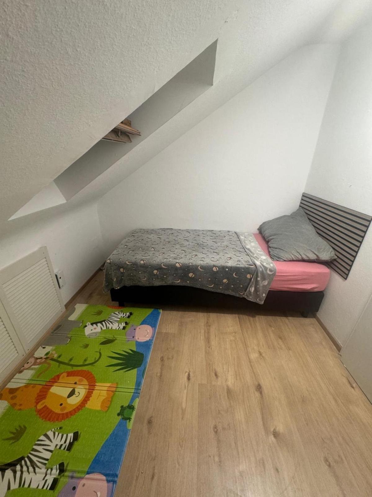 Am Auepark Apartment Касел Екстериор снимка